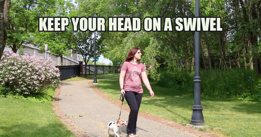 woman walking her dog while scanning the environment