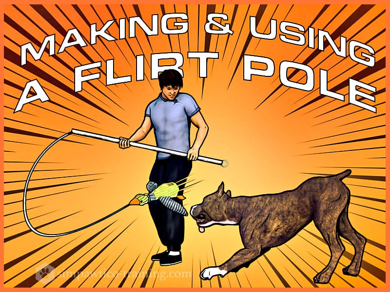 flirt pole for large dogs