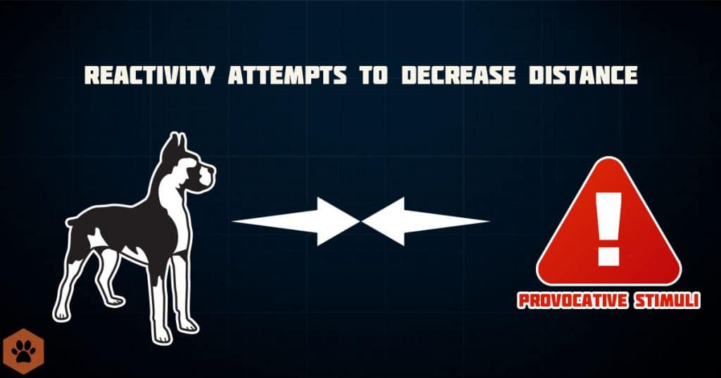 a diagram of how dog reactivity works