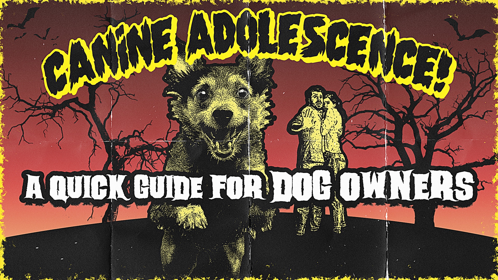 Canine Adolescence: A Quick Guide for Dog Owners